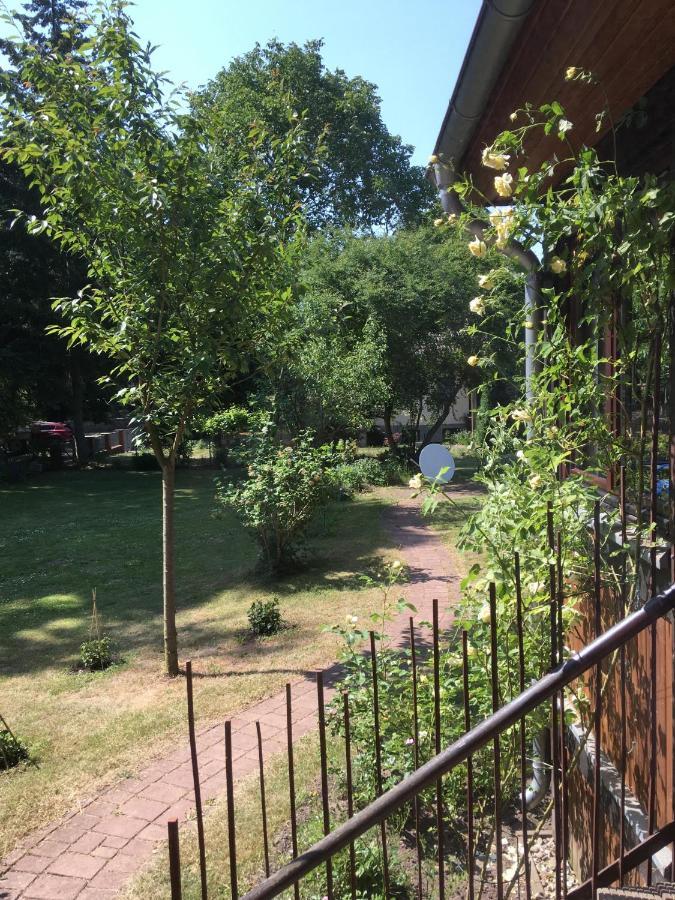 Ferienwohnung Kastanienblick Oder Parkblick, Oder Unser Radlerzimmer! Ziethen  Bagian luar foto