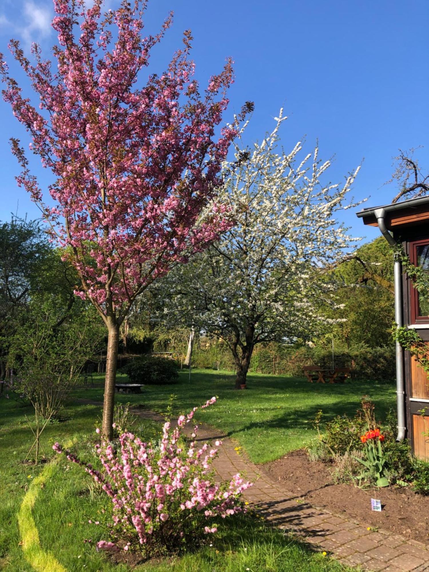 Ferienwohnung Kastanienblick Oder Parkblick, Oder Unser Radlerzimmer! Ziethen  Bagian luar foto